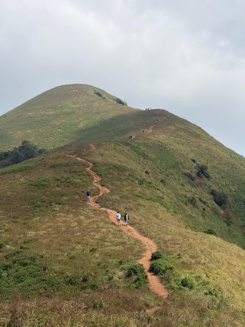 Brahmagiri mountain landscape