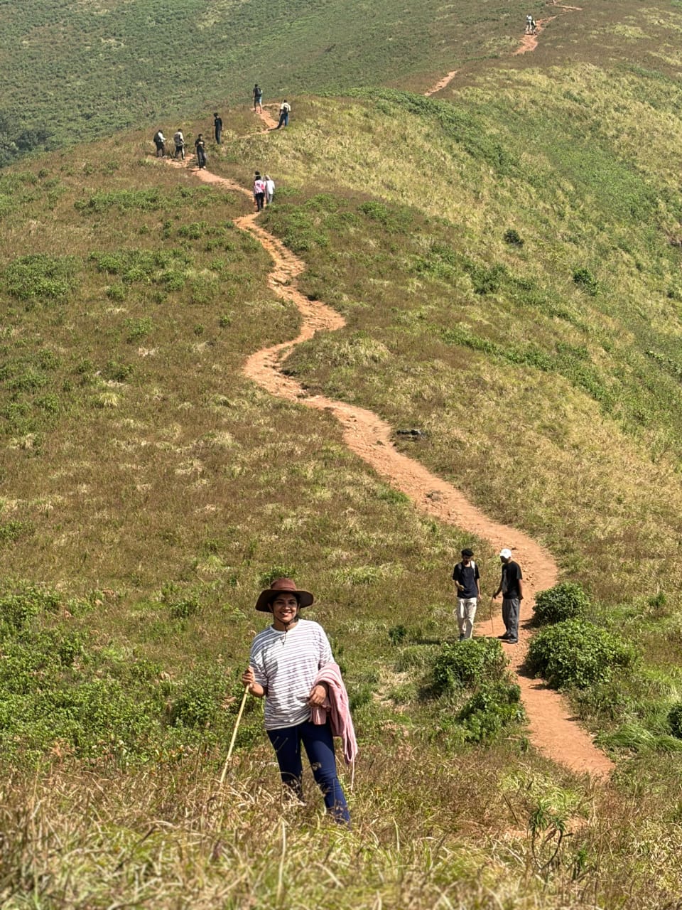 Trail through Brahmagiri hills